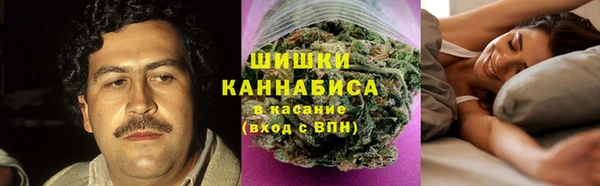 трава Алзамай