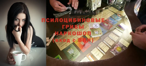 ГАЛЛЮЦИНОГЕННЫЕ ГРИБЫ Абдулино