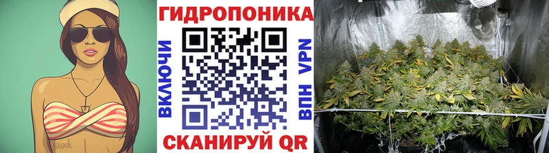 Бошки Шишки гибрид Норильск